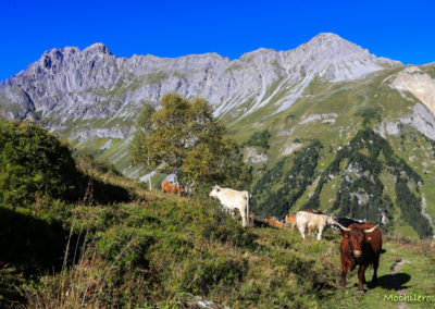 Pralognan la Vanoise