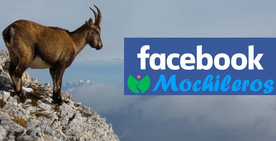 Facebook Mochileros