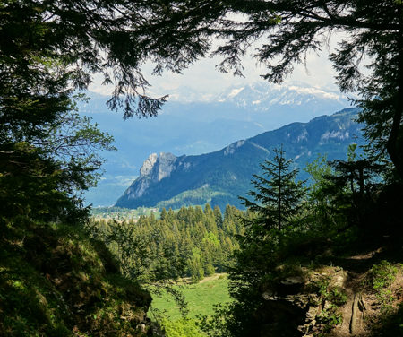 Le Belvédère de Charande. 1709 m