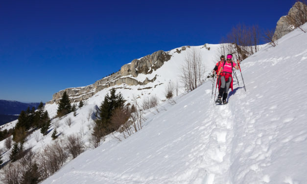 La Fauge, Villard de Lans