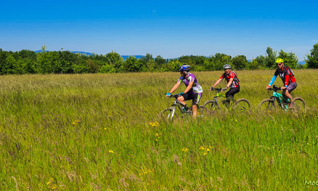 Les Bois de Taravas. Parcours 36 km du Sanglier 2021