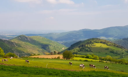 L’ardèche et le Vivarais