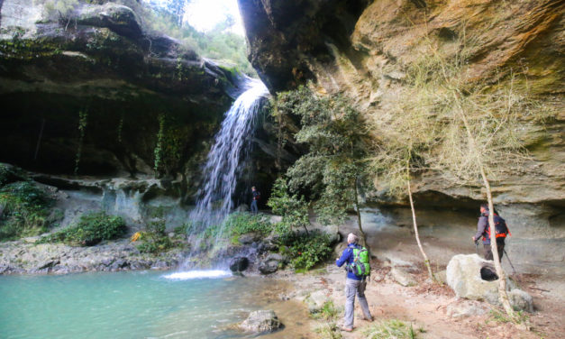 Le Bois de Païolive et la Grotte du Baumicou