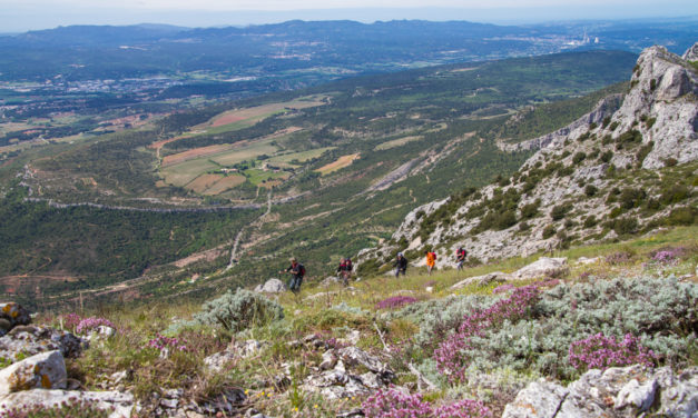 La Montagne Ste Victoire par le Pic des Mouches et le Pas du Clapier