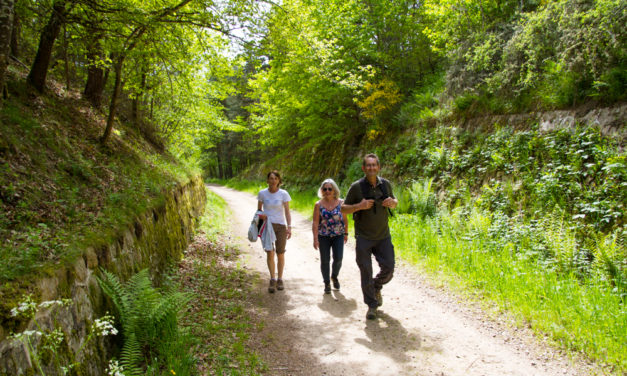 chemin du Rail, Les Monts du Forez