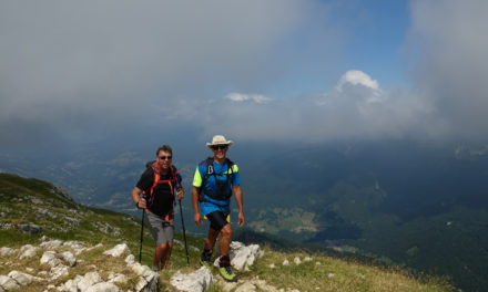 Le Grand Som, 2026 m.  Chartreuse