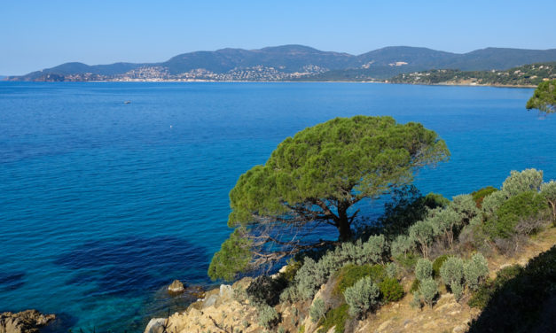 Le Cap Lardier et le Cap Taillat en boucle