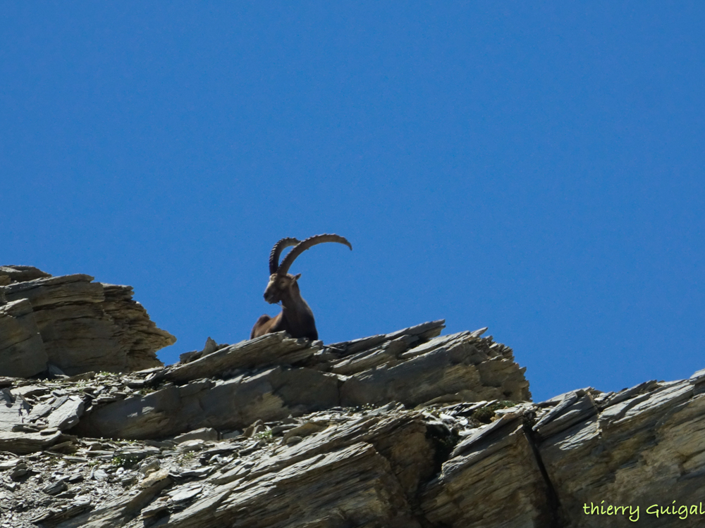 Pralognan la Vanoise