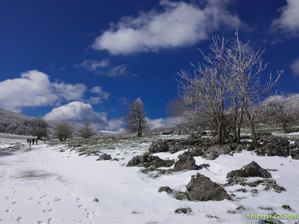 Pralognan la Vanoise