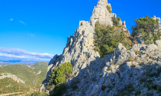 Gigondas,  Dentelles de Montmirail