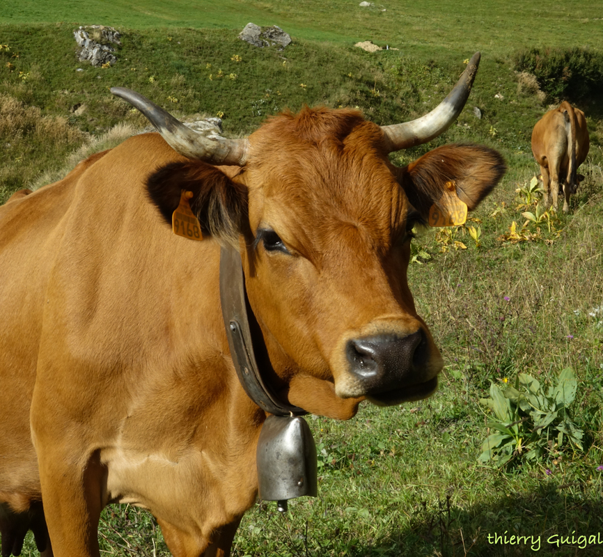 Pralognan la Vanoise