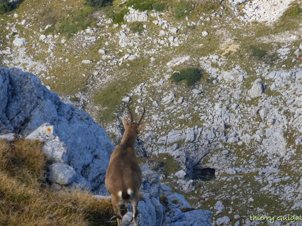 Pralognan la Vanoise