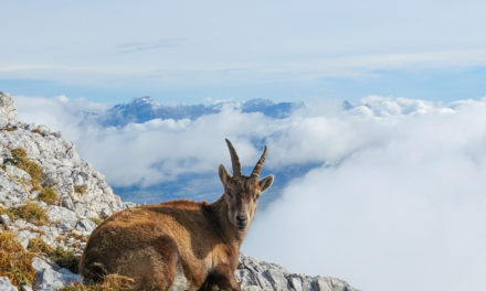 Le Grand Veymont par Chichilianne