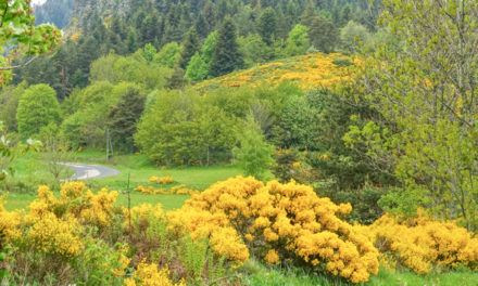 Les Sucs d’Ardèche