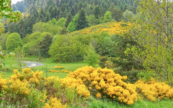 Les Sucs d’Ardèche