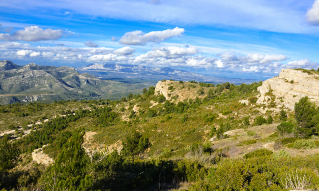 Le Sentier Marcel Pagnol, le Garlaban 714 m