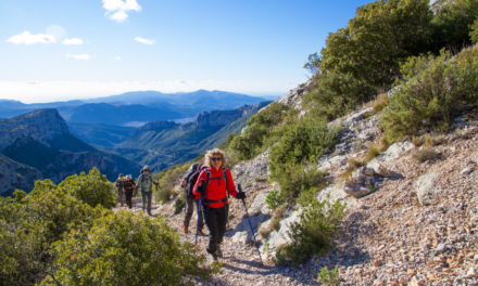 Pic de Bertagne, Massif de Ste Baume