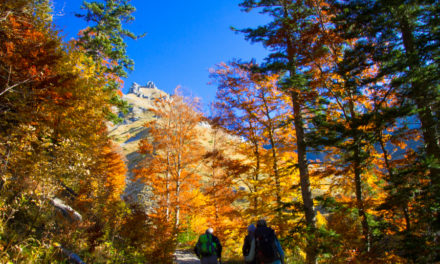 Tête Vallon Pierra