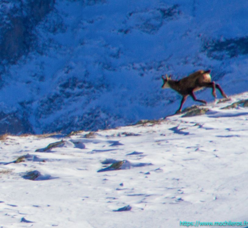 Pralognan la Vanoise