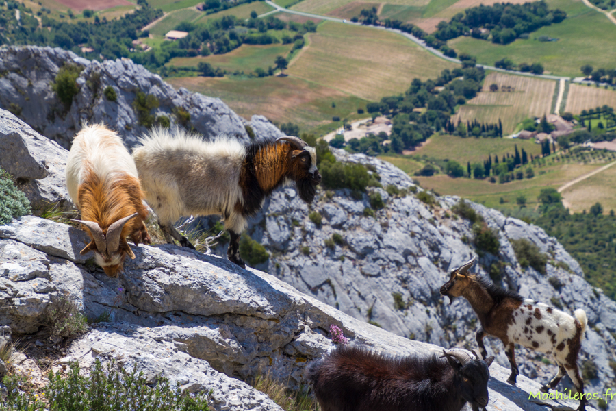 Pralognan la Vanoise