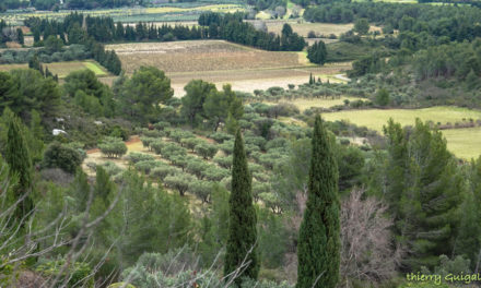Les Alpilles, Les Baux de Provence