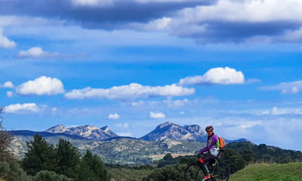 Le Tour des Alpilles