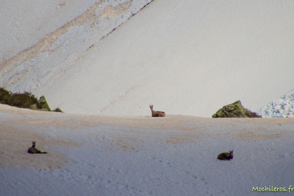 Pralognan la Vanoise