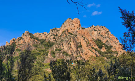 le Rocher de Roquebrune