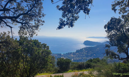 Col du Babaou, Notre Dame des Anges, Grimaud