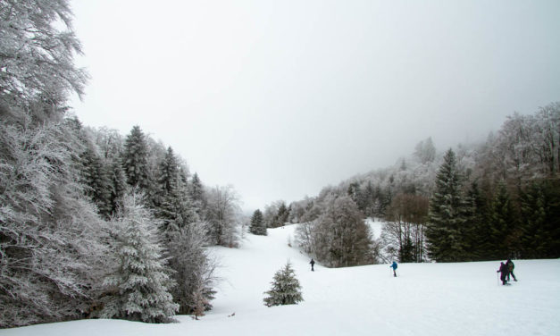 Serre Plumé et Pelouse de Derbounouse depuis le Col de la Chau, Vercors