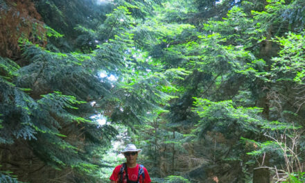 le sentier du Géant