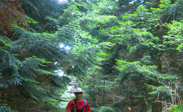 le sentier du Géant