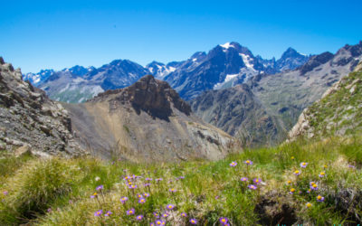 Cime de la Condamine , Les Ecrins