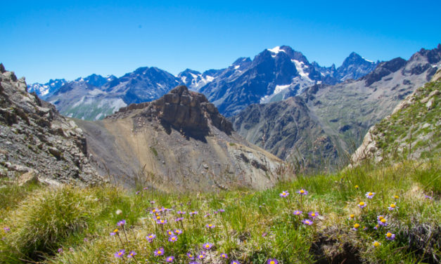 Cime de la Condamine , Les Ecrins