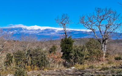 Tour des Monts du Vaucluse