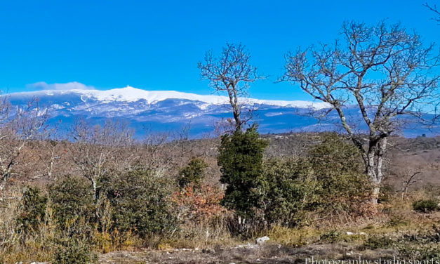 Tour des Monts du Vaucluse