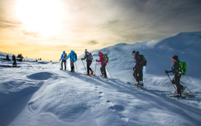 Crête et Vallon de l’Aulp du Seuil, Chartreuse