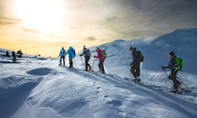 Crête et Vallon de l’Aulp du Seuil, Chartreuse